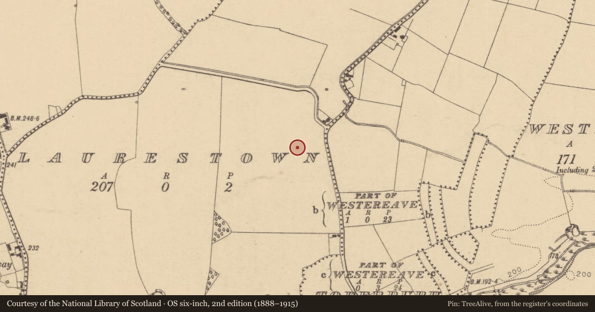 Ordnance Survey six-inch map, 2nd edition (1888–1915) covering the location of Road - road/trackway, Laurestown, County Dublin, with a pin at the register's coordinates