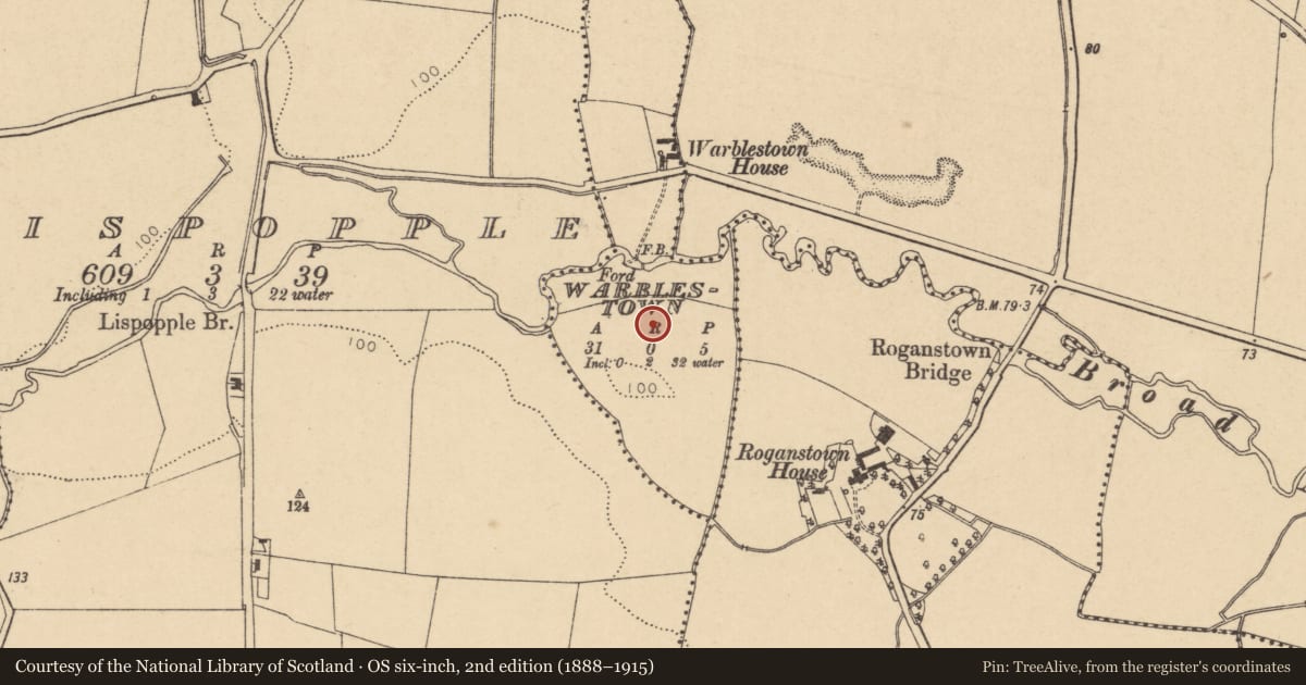 Ordnance Survey six-inch map, 2nd edition (1888–1915) covering the location of Enclosure, Warblestown, County Dublin, with a pin at the register's coordinates