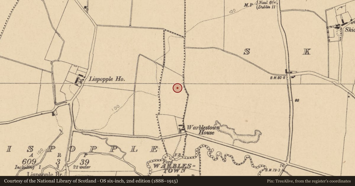 Ordnance Survey six-inch map, 2nd edition (1888–1915) covering the location of Enclosure, Warblestown, County Dublin, with a pin at the register's coordinates