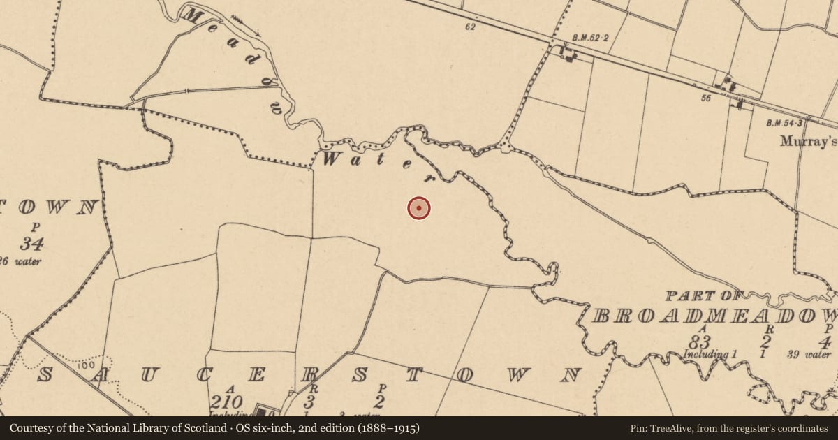 Ordnance Survey six-inch map, 2nd edition (1888–1915) covering the location of Field system, Saucerstown, County Dublin, with a pin at the register's coordinates