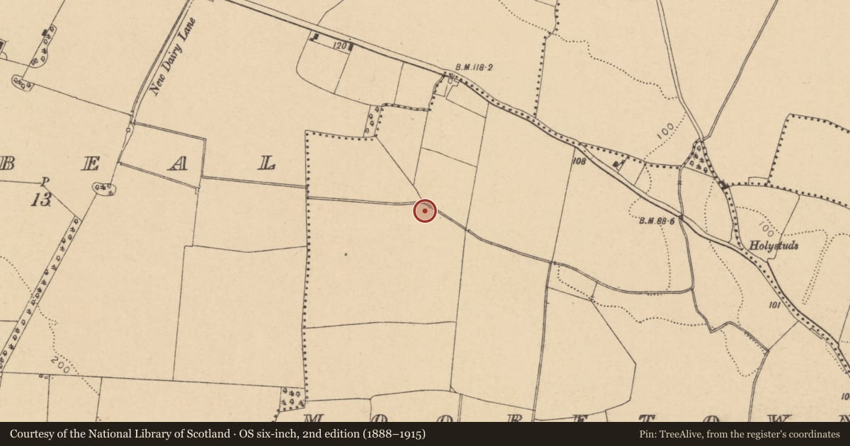 Ordnance Survey six-inch map, 2nd edition (1888–1915) covering the location of Water mill - horizontal-wheeled, Mooretown, County Dublin, with a pin at the register's coordinates