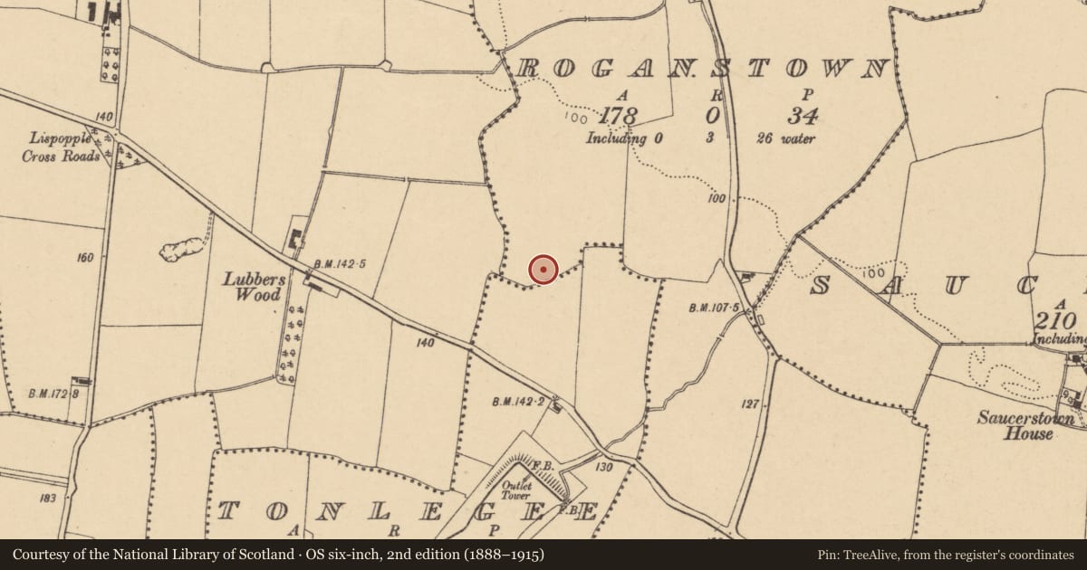 Ordnance Survey six-inch map, 2nd edition (1888–1915) covering the location of Burnt mound, Roganstown, County Dublin, with a pin at the register's coordinates