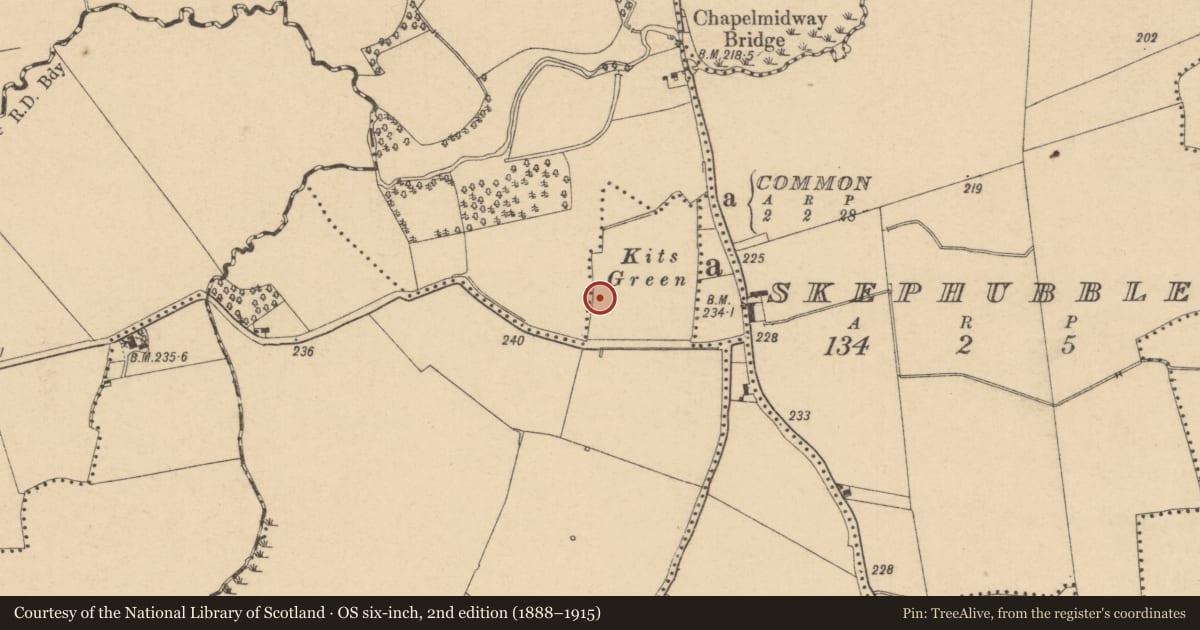 Ordnance Survey six-inch map, 2nd edition (1888–1915) covering the location of Enclosure, Common, County Dublin, with a pin at the register's coordinates