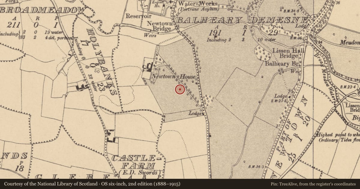 Ordnance Survey six-inch map, 2nd edition (1888–1915) covering the location of Cross-slab (present location), Newtown, County Dublin, with a pin at the register's coordinates