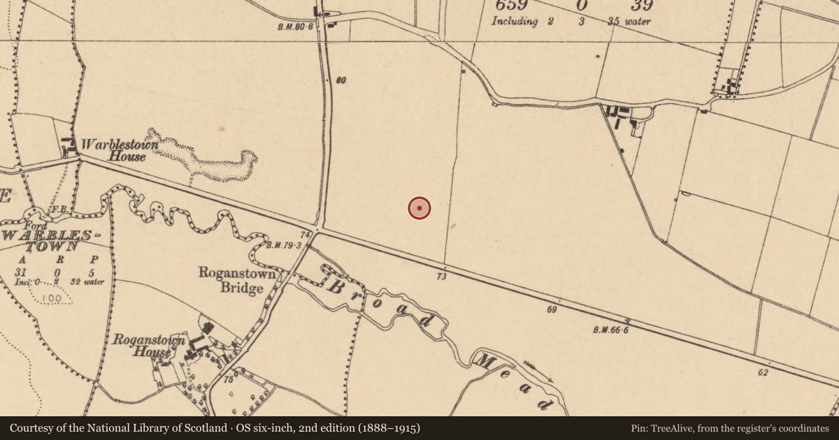 Ordnance Survey six-inch map, 2nd edition (1888–1915) covering the location of Ring-ditch, Skidoo, County Dublin, with a pin at the register's coordinates