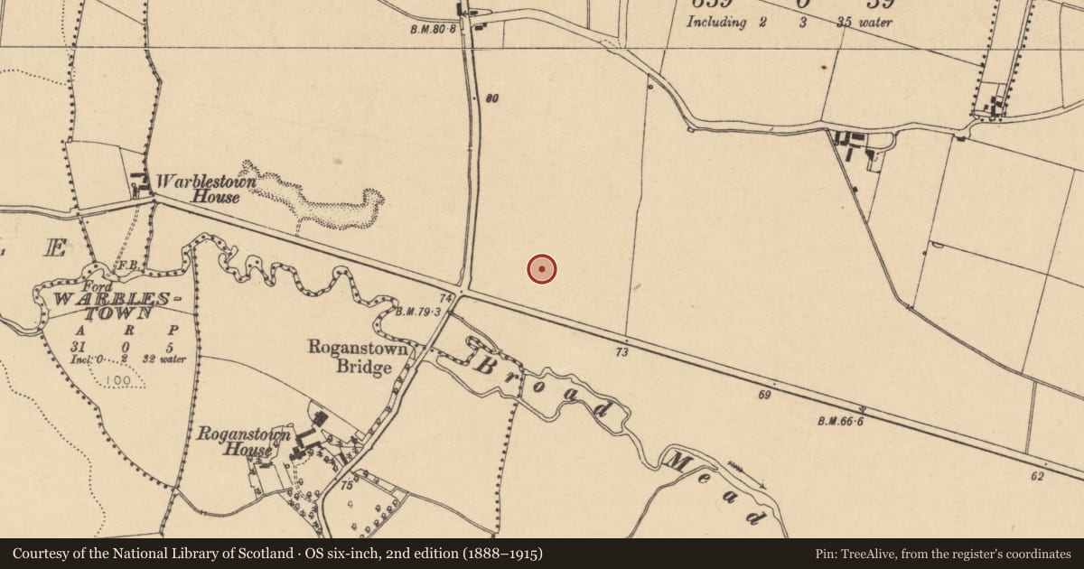 Ordnance Survey six-inch map, 2nd edition (1888–1915) covering the location of Ring-ditch, Skidoo, County Dublin, with a pin at the register's coordinates