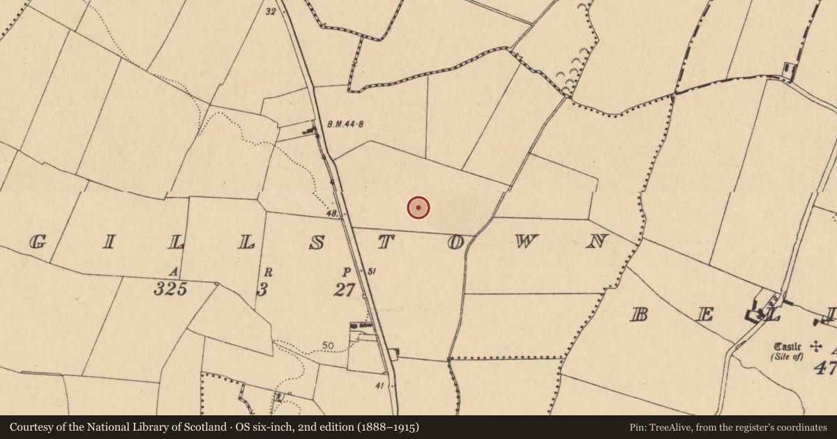 Ordnance Survey six-inch map, 2nd edition (1888–1915) covering the location of Ring-ditch, Magillstown, County Dublin, with a pin at the register's coordinates