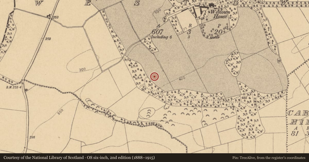 Ordnance Survey six-inch map, 2nd edition (1888–1915) covering the location of Enclosure, Westown, County Dublin, with a pin at the register's coordinates