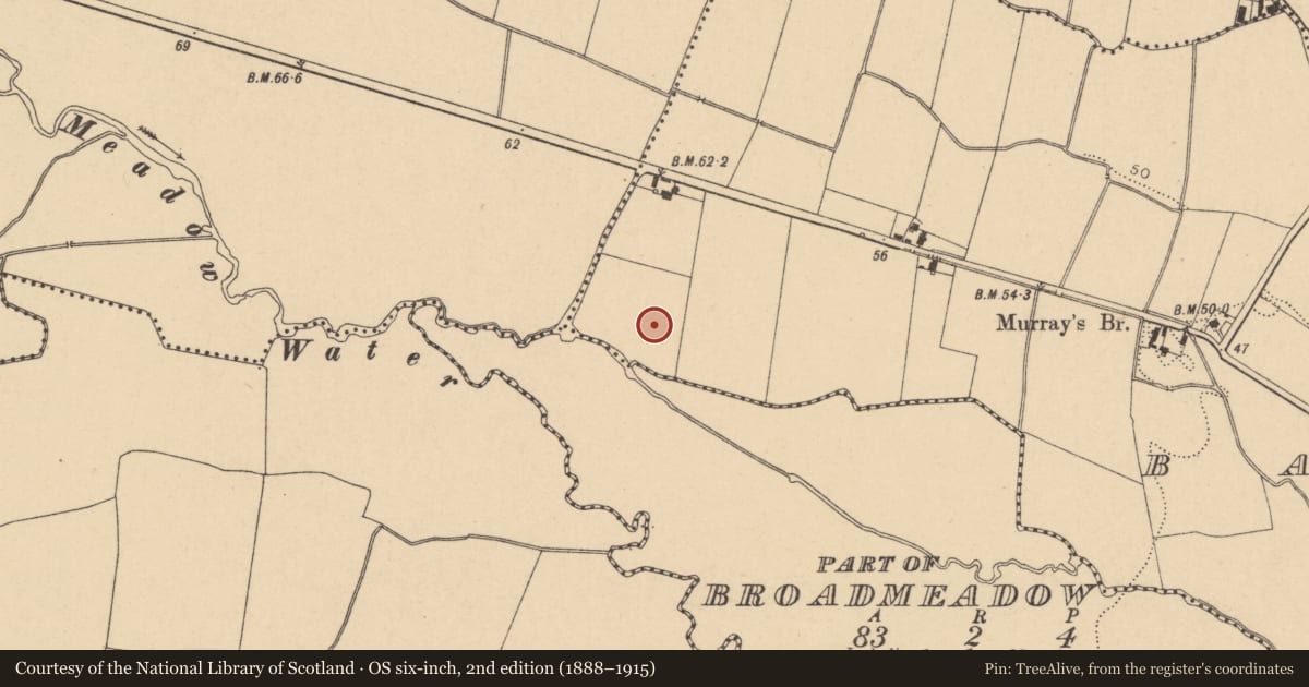 Ordnance Survey six-inch map, 2nd edition (1888–1915) covering the location of Ring-ditch, Balheary, County Dublin, with a pin at the register's coordinates