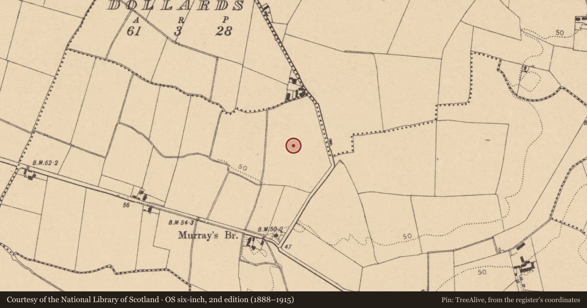 Ordnance Survey six-inch map, 2nd edition (1888–1915) covering the location of Enclosure, Balheary, County Dublin, with a pin at the register's coordinates