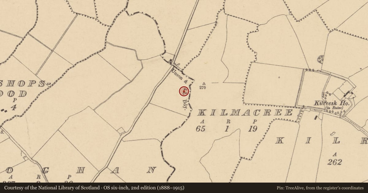 Ordnance Survey six-inch map, 2nd edition (1888–1915) covering the location of Enclosure, Broghan, County Dublin, with a pin at the register's coordinates