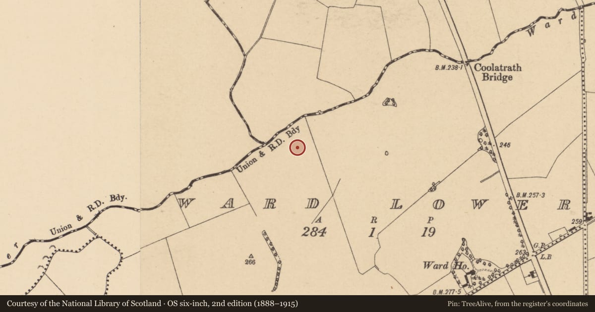 Ordnance Survey six-inch map, 2nd edition (1888–1915) covering the location of Enclosure, Ward Lower, County Dublin, with a pin at the register's coordinates