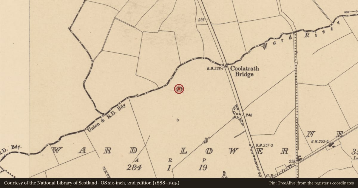 Ordnance Survey six-inch map, 2nd edition (1888–1915) covering the location of Enclosure, Ward Lower, County Dublin, with a pin at the register's coordinates