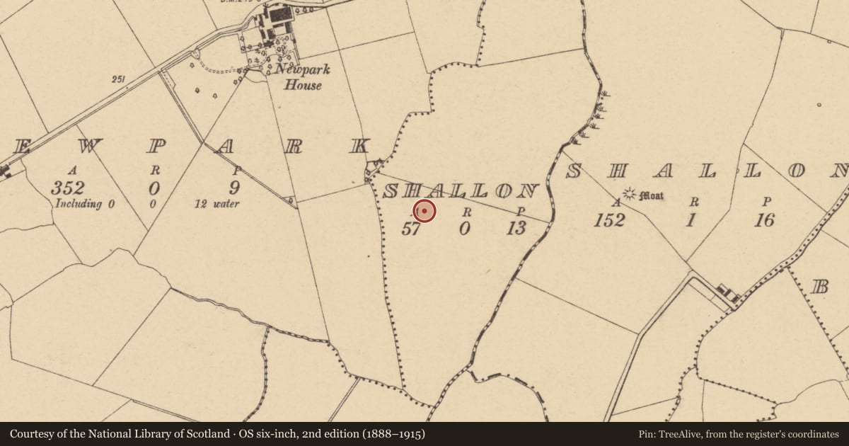 Ordnance Survey six-inch map, 2nd edition (1888–1915) covering the location of Enclosure, Shallon, County Dublin, with a pin at the register's coordinates