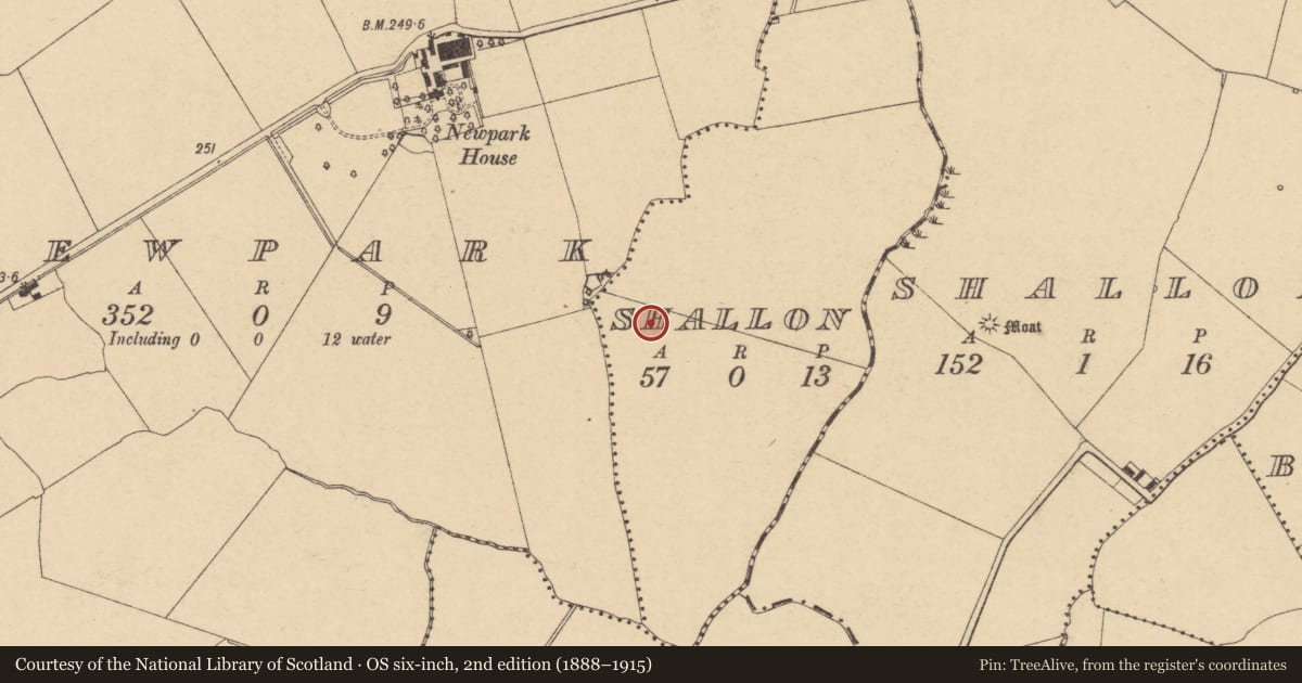 Ordnance Survey six-inch map, 2nd edition (1888–1915) covering the location of Enclosure, Shallon, County Dublin, with a pin at the register's coordinates