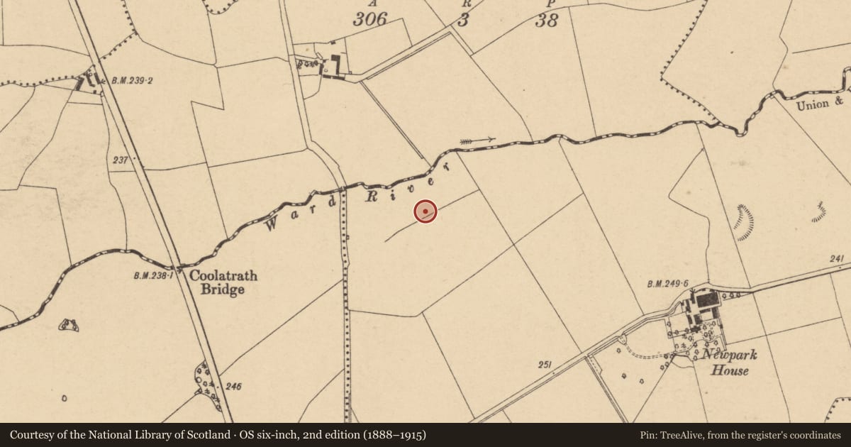 Ordnance Survey six-inch map, 2nd edition (1888–1915) covering the location of Ring-ditch, Newpark, County Dublin, with a pin at the register's coordinates