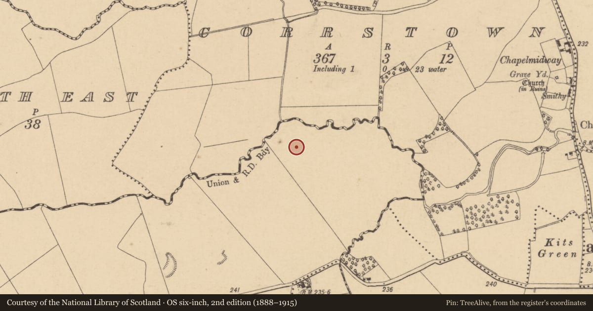 Ordnance Survey six-inch map, 2nd edition (1888–1915) covering the location of Enclosure, Newpark, County Dublin, with a pin at the register's coordinates