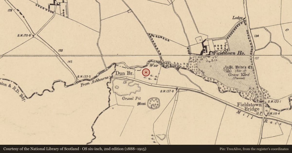 Ordnance Survey six-inch map, 2nd edition (1888–1915) covering the location of Earthwork, Fieldstown, County Dublin, with a pin at the register's coordinates