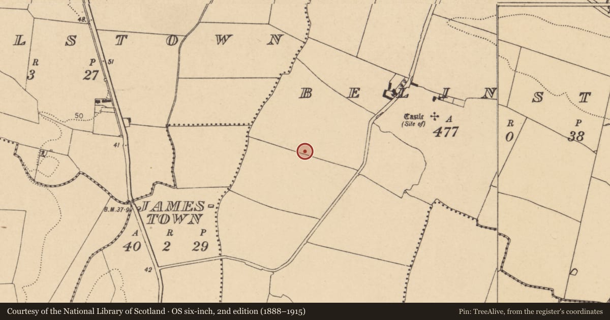 Ordnance Survey six-inch map, 2nd edition (1888–1915) covering the location of Earthwork, Belinstown, County Dublin, with a pin at the register's coordinates