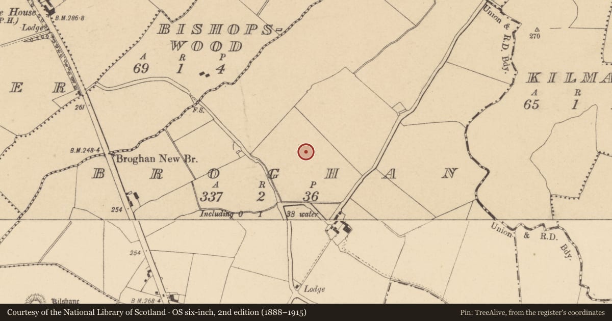 Ordnance Survey six-inch map, 2nd edition (1888–1915) covering the location of Earthwork, Broghan, County Dublin, with a pin at the register's coordinates