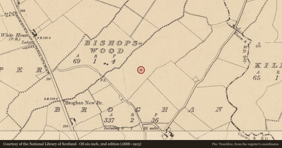 Ordnance Survey six-inch map, 2nd edition (1888–1915) covering the location of Earthwork, Broghan, County Dublin, with a pin at the register's coordinates