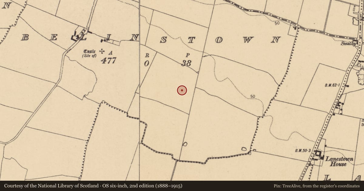 Ordnance Survey six-inch map, 2nd edition (1888–1915) covering the location of Ringfort - cashel, Belinstown, County Dublin, with a pin at the register's coordinates