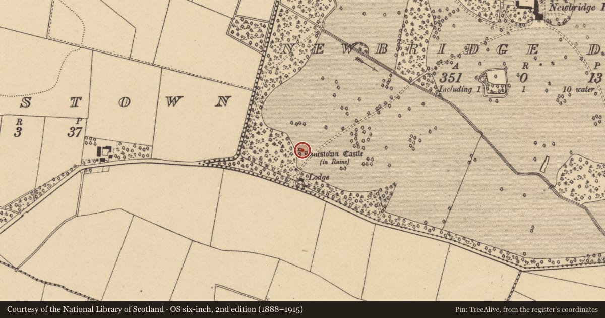 Ordnance Survey six-inch map, 2nd edition (1888–1915) covering the location of Castle - tower house, Newbridge Demesne, County Dublin, with a pin at the register's coordinates