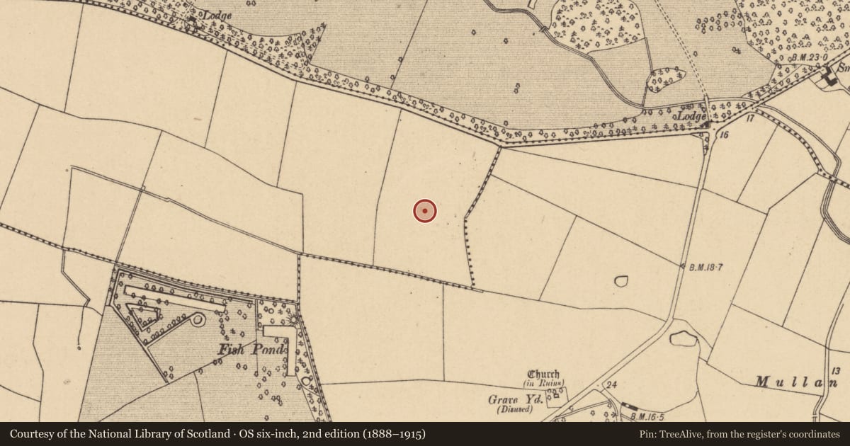 Ordnance Survey six-inch map, 2nd edition (1888–1915) covering the location of Enclosure, Lanestown, County Dublin, with a pin at the register's coordinates