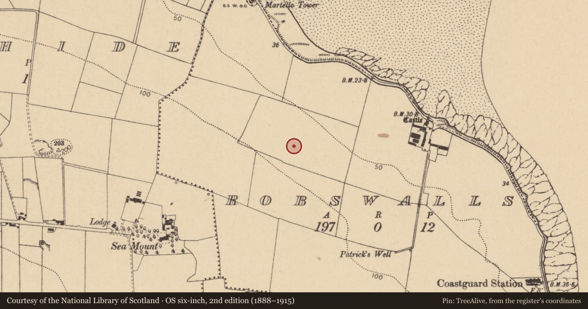Ordnance Survey six-inch map, 2nd edition (1888–1915) covering the location of Midden, Robswalls, County Dublin, with a pin at the register's coordinates