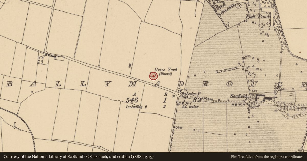 Ordnance Survey six-inch map, 2nd edition (1888–1915) covering the location of Graveyard, Ballymadrough, County Dublin, with a pin at the register's coordinates