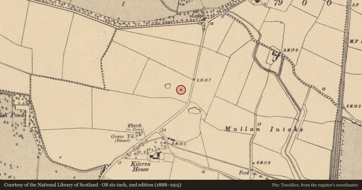 Ordnance Survey six-inch map, 2nd edition (1888–1915) covering the location of Enclosure, Kilcrea, County Dublin, with a pin at the register's coordinates