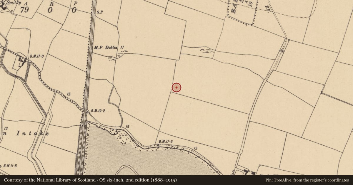Ordnance Survey six-inch map, 2nd edition (1888–1915) covering the location of Earthwork, Corballis, County Dublin, with a pin at the register's coordinates