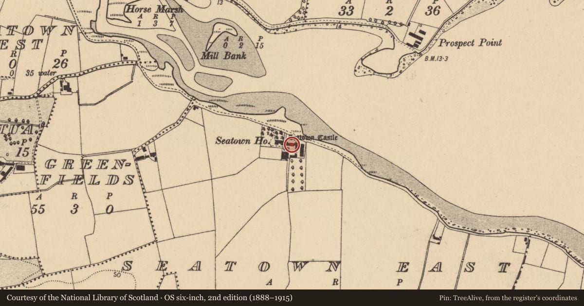 Ordnance Survey six-inch map, 2nd edition (1888–1915) covering the location of Castle - tower house, Seatown East, County Dublin, with a pin at the register's coordinates