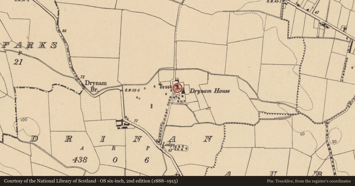 Ordnance Survey six-inch map, 2nd edition (1888–1915) covering the location of Sheela-na-gig, Drinan, County Dublin, with a pin at the register's coordinates