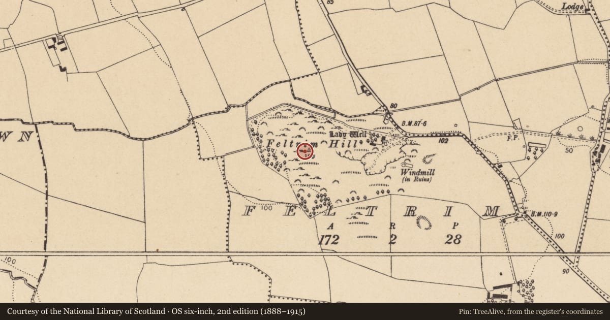 Ordnance Survey six-inch map, 2nd edition (1888–1915) covering the location of Ringfort - cashel, Feltrim, County Dublin, with a pin at the register's coordinates