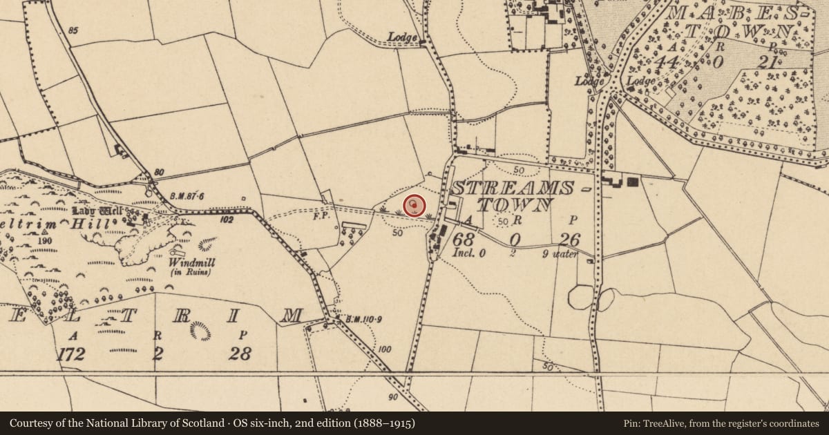 Ordnance Survey six-inch map, 2nd edition (1888–1915) covering the location of Mound, Auburn, County Dublin, with a pin at the register's coordinates