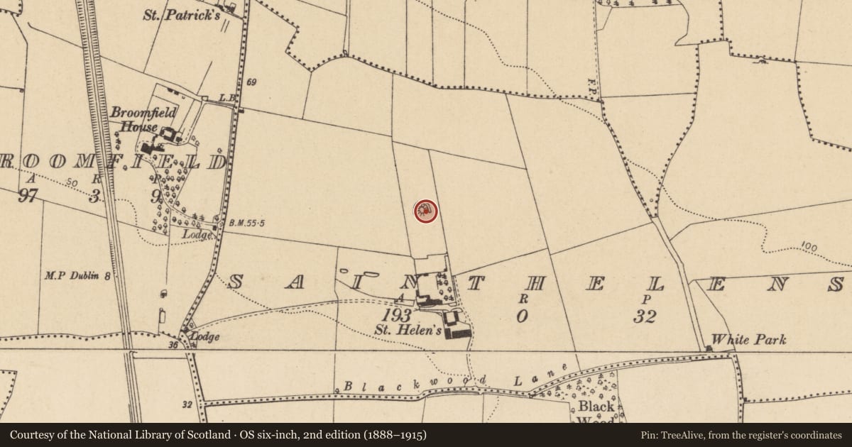Ordnance Survey six-inch map, 2nd edition (1888–1915) covering the location of Castle - motte and bailey, Sainthelens, County Dublin, with a pin at the register's coordinates