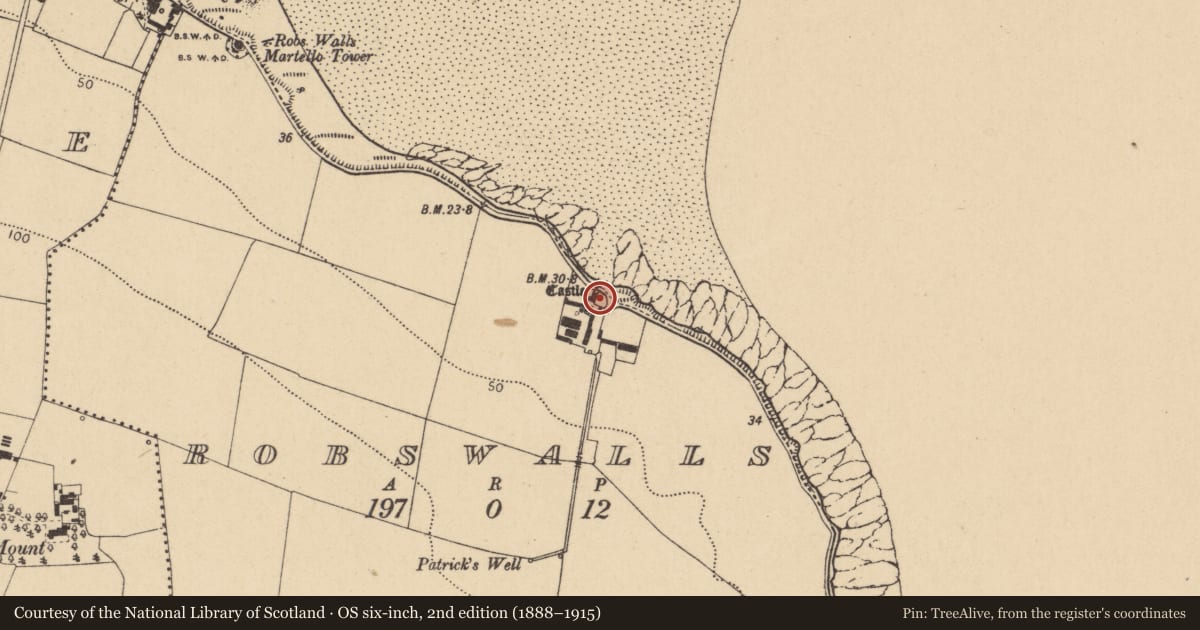 Ordnance Survey six-inch map, 2nd edition (1888–1915) covering the location of Castle - tower house, Robswalls, County Dublin, with a pin at the register's coordinates