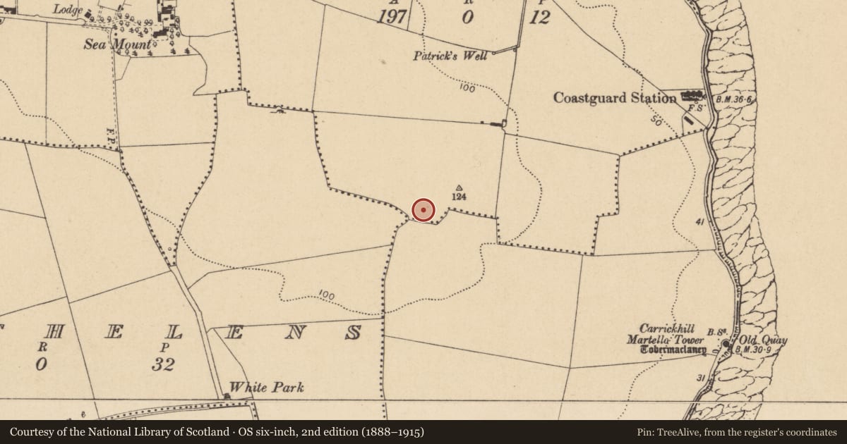 Ordnance Survey six-inch map, 2nd edition (1888–1915) covering the location of Prehistoric site - lithic scatter, Robswalls, County Dublin, with a pin at the register's coordinates