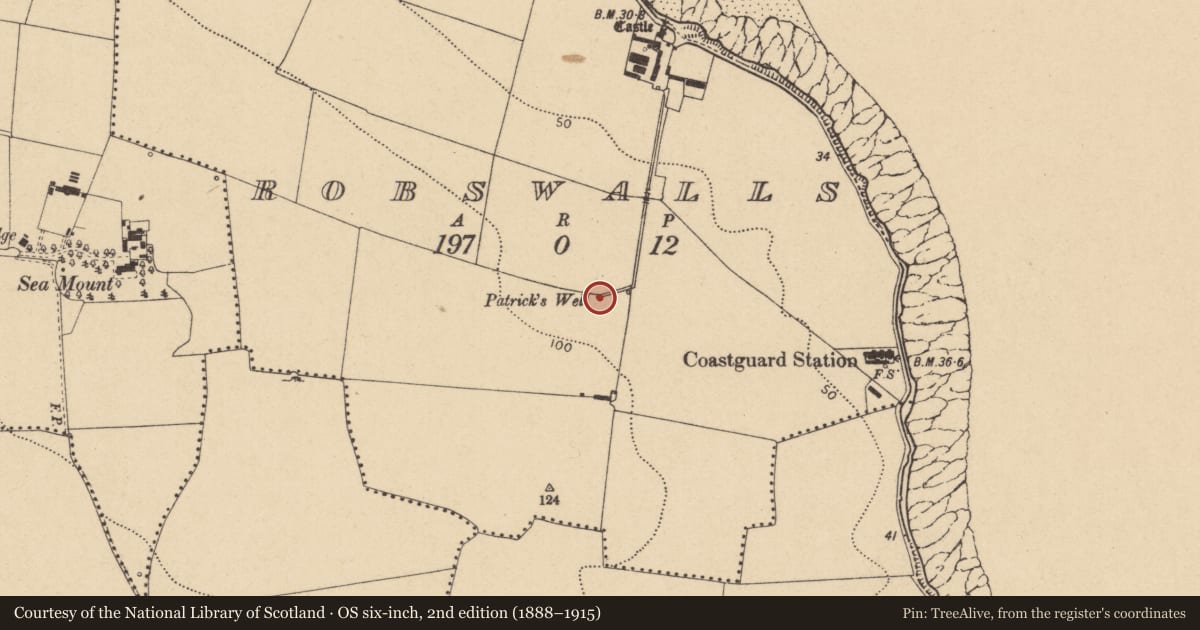 Ordnance Survey six-inch map, 2nd edition (1888–1915) covering the location of Ritual site - holy well, Robswalls, County Dublin, with a pin at the register's coordinates