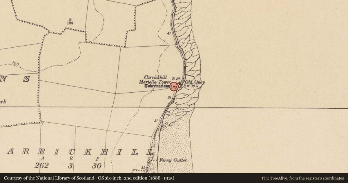 Ordnance Survey six-inch map, 2nd edition (1888–1915) covering the location of Ritual site - holy well, Carrickhill, County Dublin, with a pin at the register's coordinates