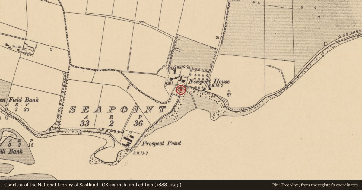 Ordnance Survey six-inch map, 2nd edition (1888–1915) covering the location of Tide mill - unclassified, Ballymadrough, Seapoint, County Dublin, with a pin at the register's coordinates