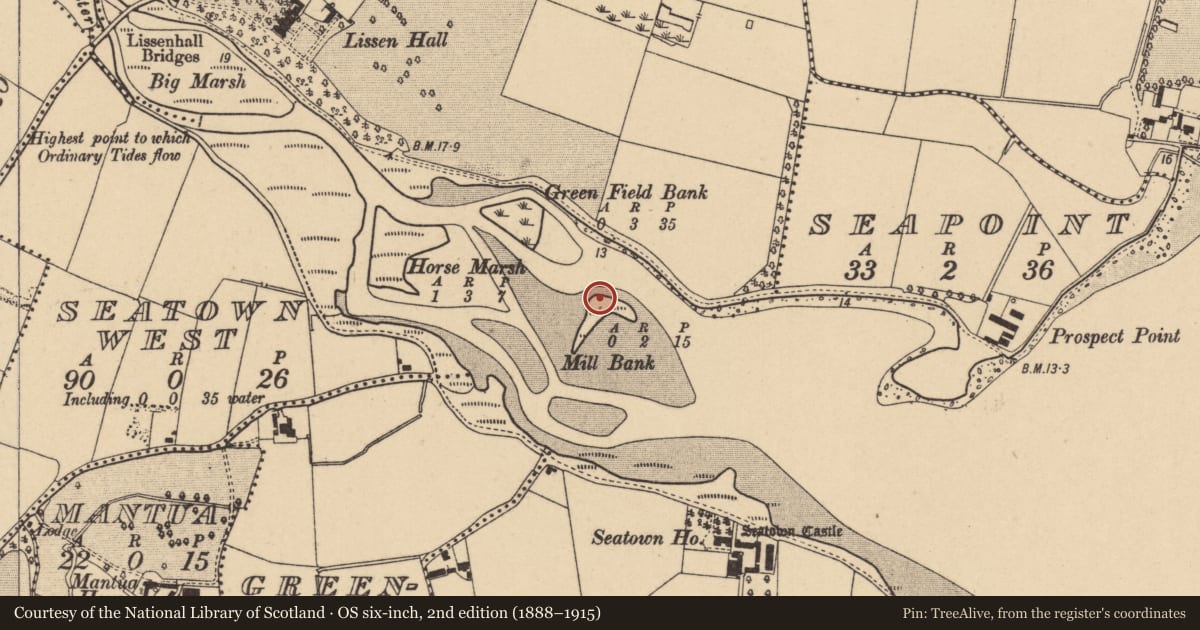 Ordnance Survey six-inch map, 2nd edition (1888–1915) covering the location of Tide mill - unclassified, Lissenhall Great, County Dublin, with a pin at the register's coordinates