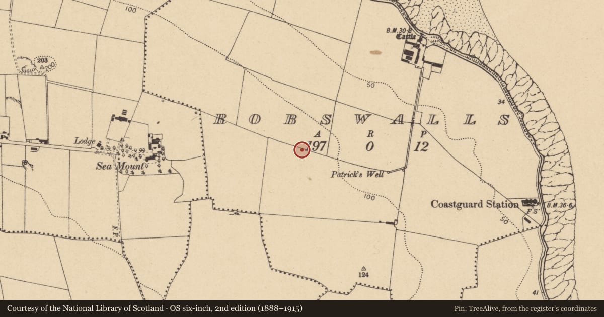 Ordnance Survey six-inch map, 2nd edition (1888–1915) covering the location of Midden, Robswalls, County Dublin, with a pin at the register's coordinates