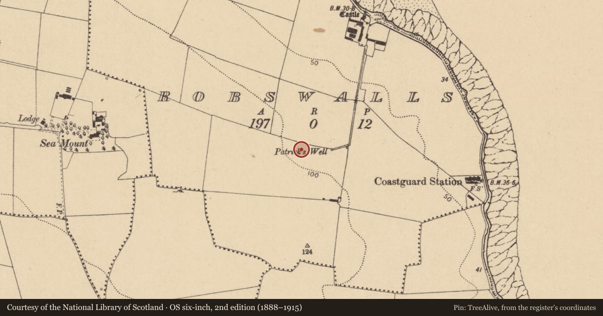 Ordnance Survey six-inch map, 2nd edition (1888–1915) covering the location of Prehistoric site - lithic scatter, Robswalls, County Dublin, with a pin at the register's coordinates
