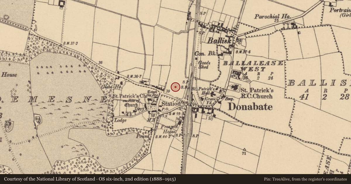 Ordnance Survey six-inch map, 2nd edition (1888–1915) covering the location of Habitation site, Beaverstown, County Dublin, with a pin at the register's coordinates