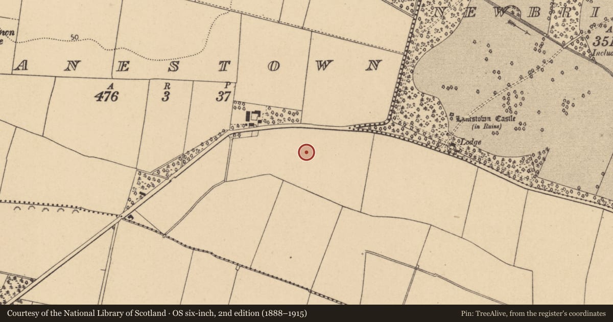 Ordnance Survey six-inch map, 2nd edition (1888–1915) covering the location of Enclosure, Lanestown, County Dublin, with a pin at the register's coordinates