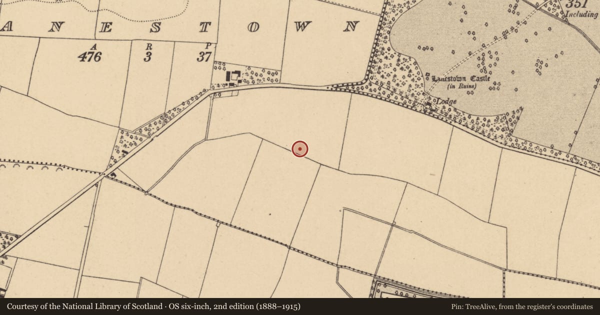Ordnance Survey six-inch map, 2nd edition (1888–1915) covering the location of Field system, Lanestown, County Dublin, with a pin at the register's coordinates