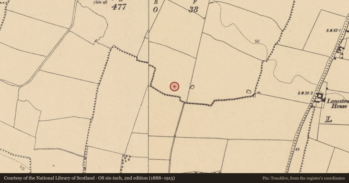 Ordnance Survey six-inch map, 2nd edition (1888–1915) covering the location of Burnt mound, Belinstown, County Dublin, with a pin at the register's coordinates