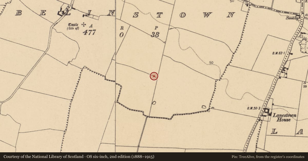 Ordnance Survey six-inch map, 2nd edition (1888–1915) covering the location of Burnt mound, Belinstown, County Dublin, with a pin at the register's coordinates
